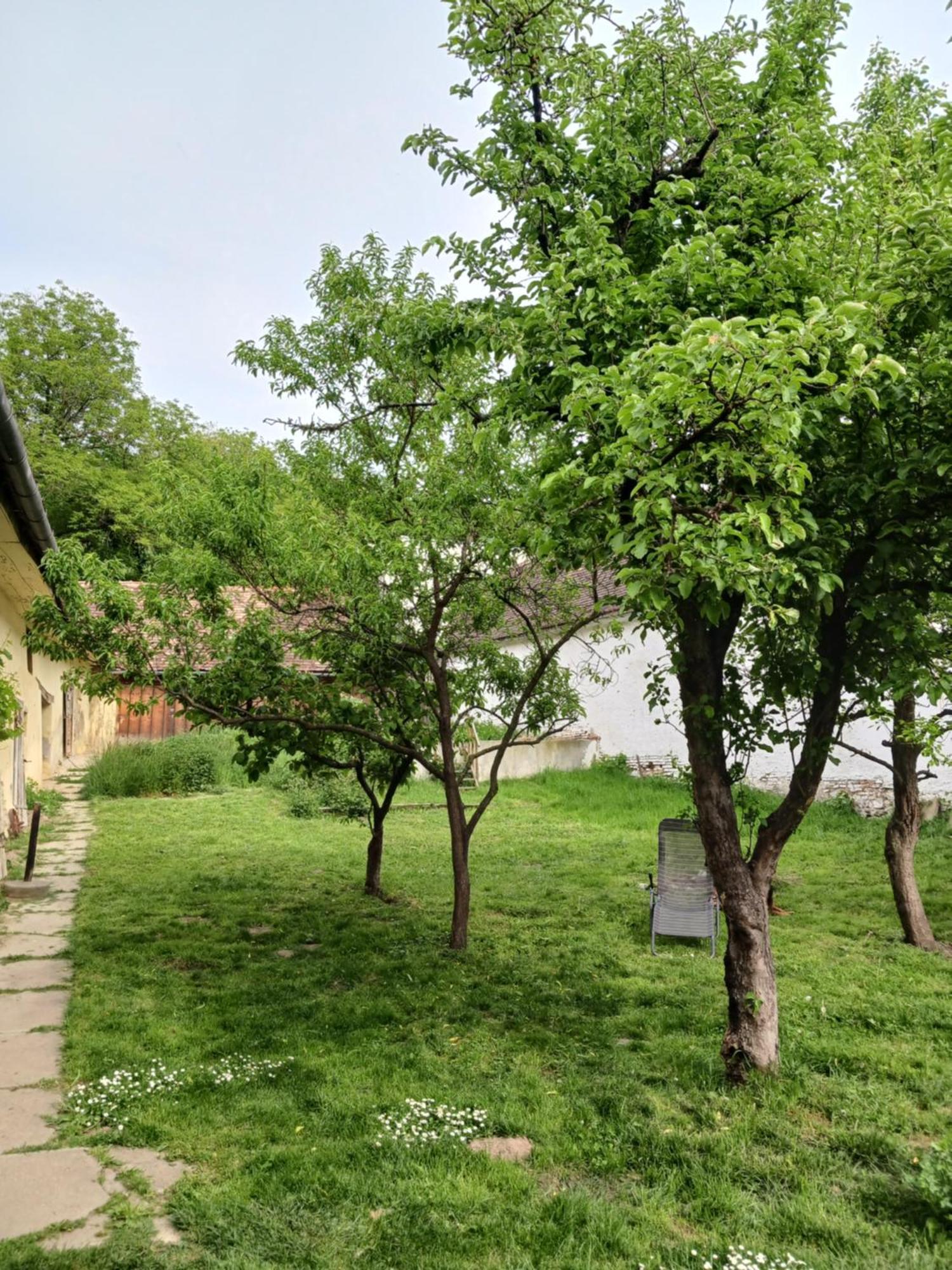 Casa Arthur Richis Richisu Экстерьер фото